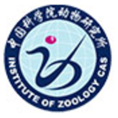 IZ CAS logo