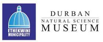 Durban Natural Science Museum Logo