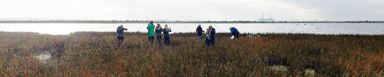 LSHTM field trip Cliffe