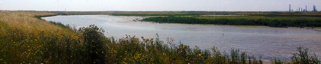 View over pitsea marshes