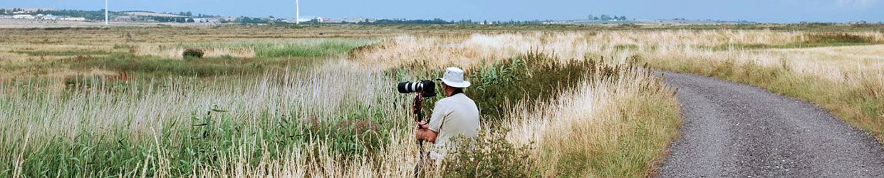 Bird Watcher in Elmlea 2016