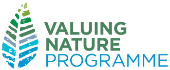 vnp logo